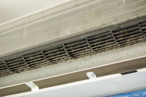 Best Air Duct Cleaning Near Me  in Biola, CA